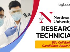 Northeastern University - Research Technician | BSc Cell Biology Candidates Apply Now