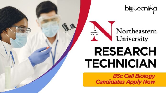 Northeastern University - Research Technician | BSc Cell Biology Candidates Apply Now