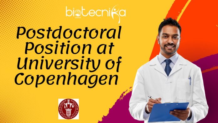 Postdoctoral Position at University of Copenhagen