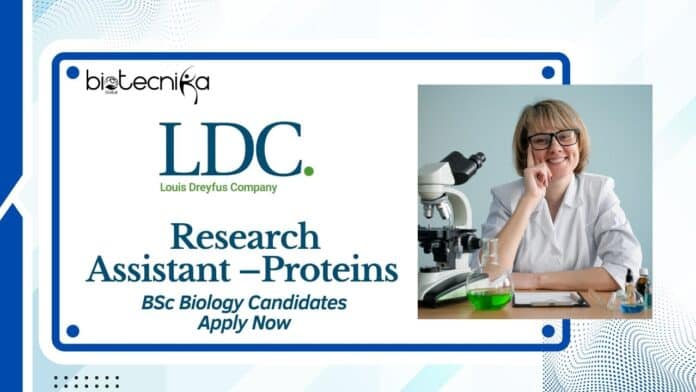 Research Assistant – Proteins Job at LDC | BSc Biology Candidates Apply Now