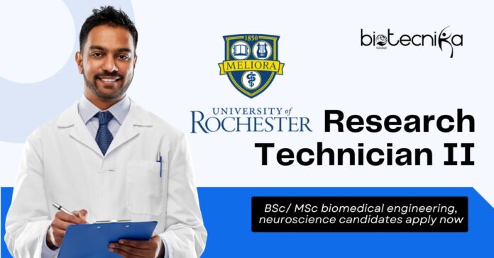 Research Technician II Job at University of Rochester | Neuroscience Lab