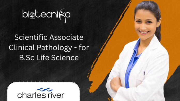 Scientific Associate Clinical Pathology