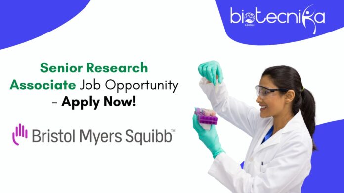 Senior Research Associate Job Opportunity - Apply Now!