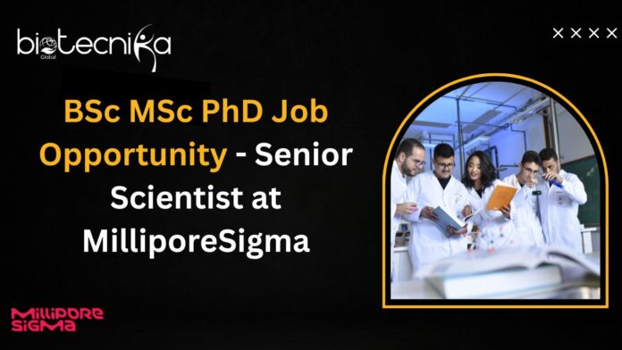BSc MSc PhD Job Opportunity