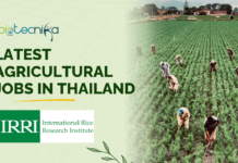Latest Agricultural Jobs at IRRI in Thailand โ Apply Now Latest Agricultural Jobs at IRRI in Thailand
