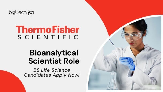 Latest BS Life Science Jobs at Thermo Fisher l Apply Now for Bioanalytical Scientist Role
