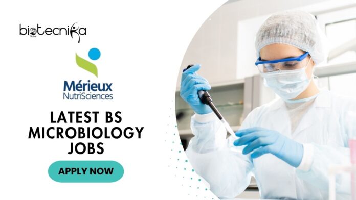 Latest BS Microbiology Jobs at Merieux Nutrisciences | Apply Now for Microbiologist Role