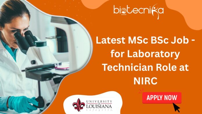 Latest MSc BSc Job