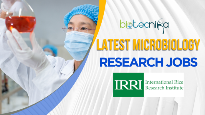 Latest Microbiology Research Jobs at IRRI – Apply Now