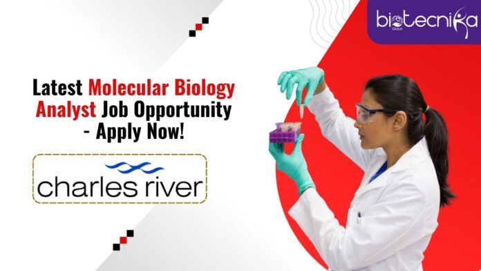 Latest Molecular Biology Analyst Job Opportunity - Apply Now!