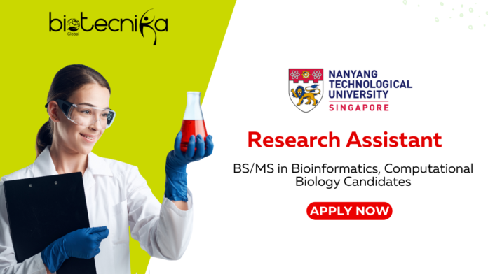 Research Assistant Job at NTU Singapore -  BS/MS Graduates in Bioinformatics Apply Now