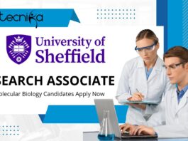 Research Associate Job Role at Sheffield University – PhD Molecular Biology Candidates Apply Now 