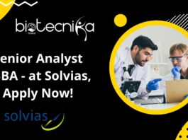 Senior Analyst CBBA