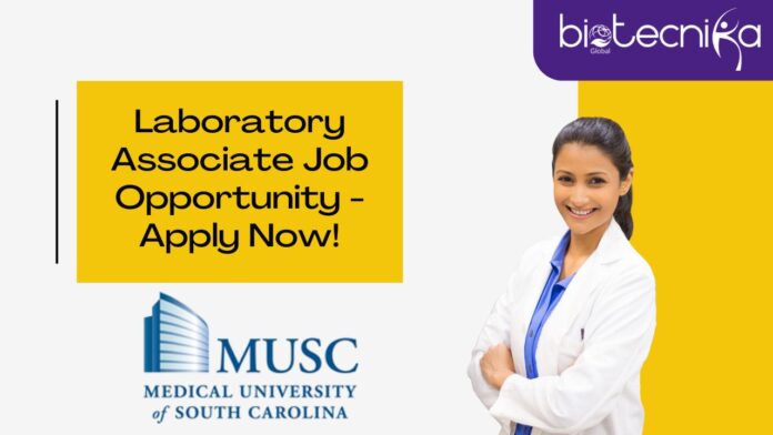 Laboratory Associate Job Opportunity - Apply Now!
