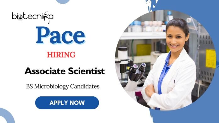 Associate Scientist Jobs at Pace | BS Microbiology Candidates Apply now