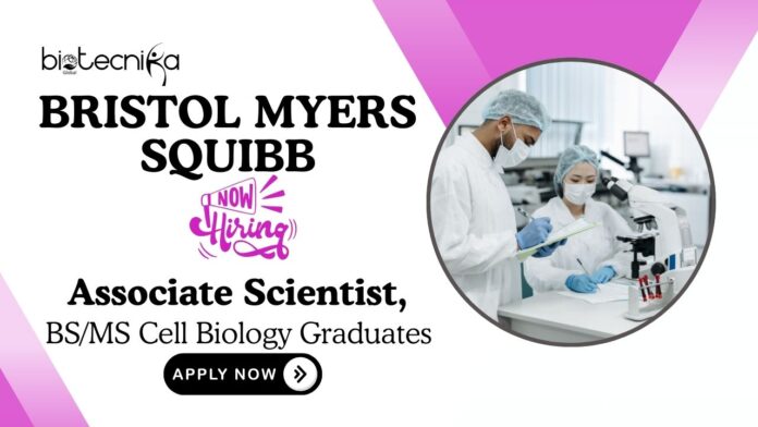 Associate Scientist Vacancy at Bristol Myers Squibb | BS and MS Cell Biology Graduates Apply Now