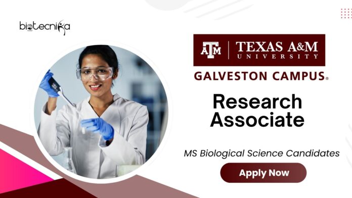 MS Biological Science Jobs at Texas A&M | Apply for the Research Associate Position