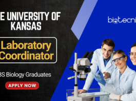BS Biology Job Vacancy Apply Now for the Laboratory Coordinator Role at the University of Kansas