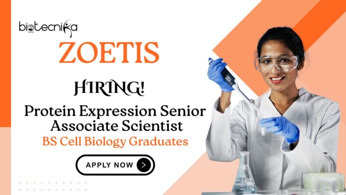 BS Cell Biology Job at Zoetis | Apply Now For The Protein Expression Senior Associate Scientist Role