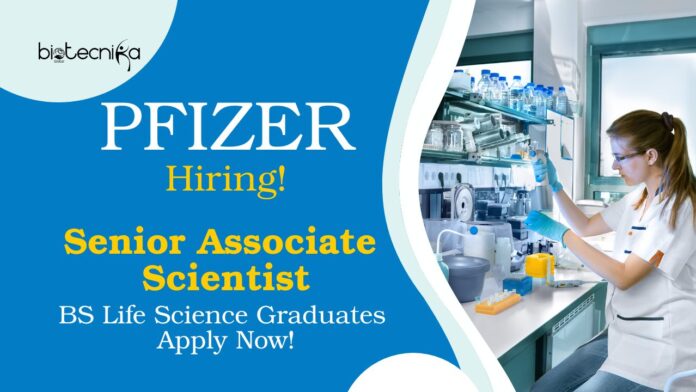 BS Life Science Jobs at Pfizer | Apply Now For The Senior Associate Scientist, Viral Vaccines Role