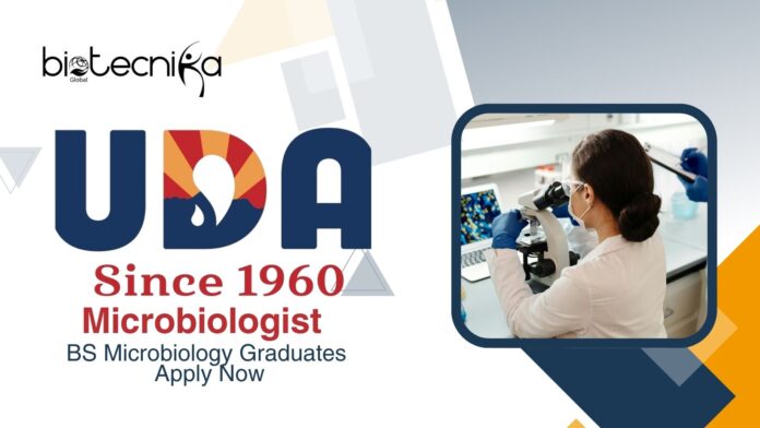 BS Microbiology Jobs at UDA | Apply Now For The Microbiologist Role