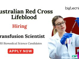 Biomedical Science Jobs at Australian Red Cross Lifeblood | Apply Now for Remote Jobs