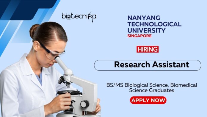 BS Life Science Job at NTU Singapore | Apply Online for the Research Assistant Position
