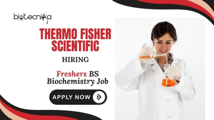 Freshers BS Biochemistry Job at Thermo Fisher Scientific Apply Now for Formulations Scientist Position
