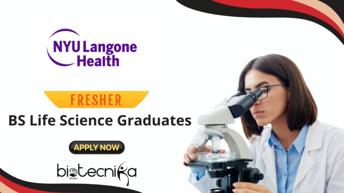 Freshers Life Science Jobs - BS Graduates Apply Now for the Associate Research Technician Role