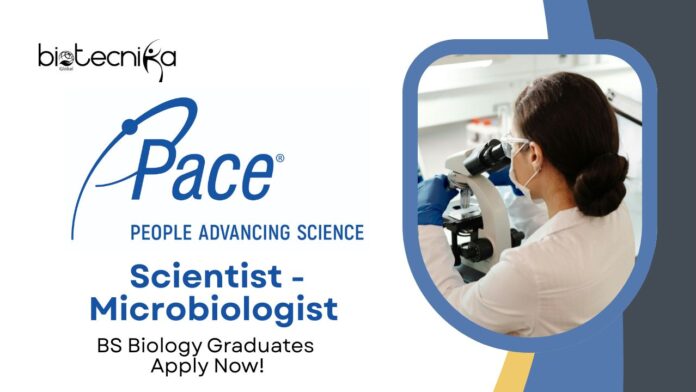 Latest BS Biology Jobs | Apply Now For The Scientist - Microbiologist Role at Pace Analytical Services