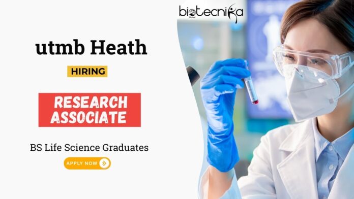 Life Science Jobs at UTMB Health BSc Graduates Apply Now for the Research Associate Role (1)