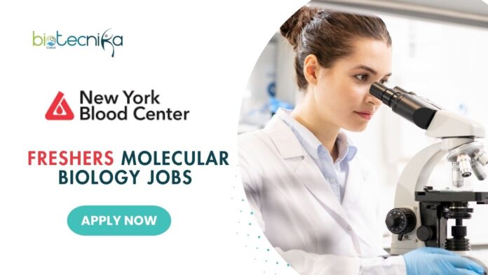 Molecular Biology Freshers Jobs at The New York Blood Center Apply Now