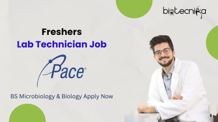 Freshers Lab Technician Job BS Microbiology & Biology Apply Now