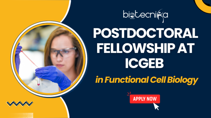 Postdoctoral Fellowship at ICGEB in Functional Cell Biology – Apply Now