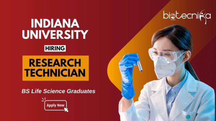 Research Technician Vacancy at Indiana University | BS Life Science Graduates Apply Now