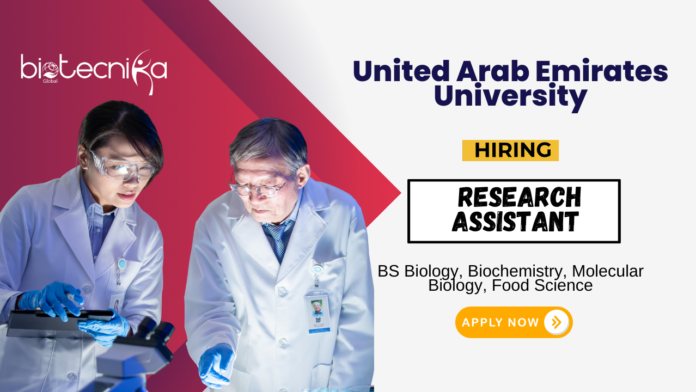 Research Assistant Job at United Arab Emirates University Apply Online