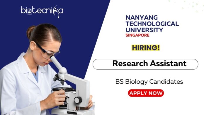 Research Assistant Position at NTU Singapore BS Biology Graduates Apply Online