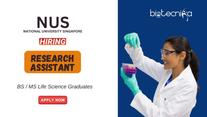 Research Jobs at National University of Singapore | Apply Now for the Research Assistant Position