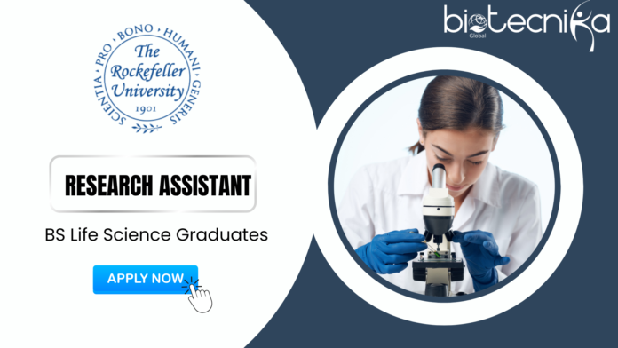 Research Assistant Position at Rockefeller University - BS Life Science Graduates Apply Now