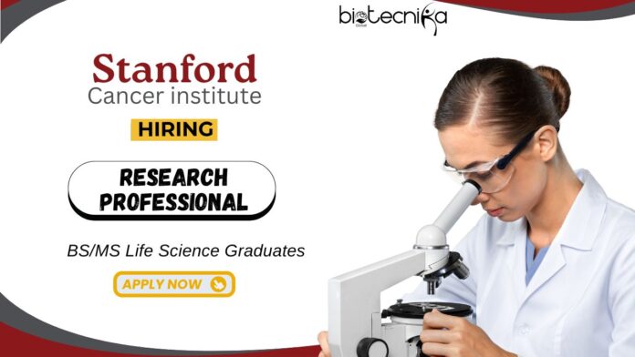 Research Job at Stanford Cancer Institute BSMS Life Science Graduates Apply Online