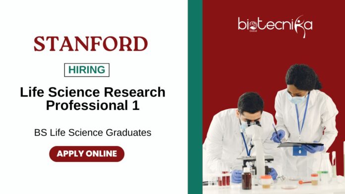 Research Jobs at Stanford University BS Life Science Graduates Apply Online (2)