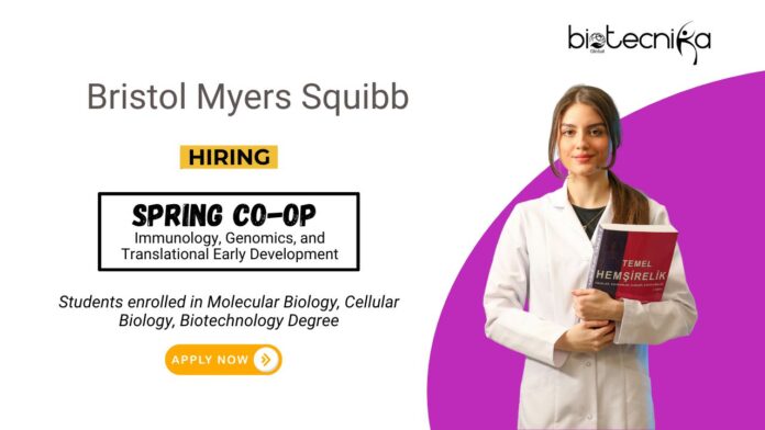 Biotechnology Job at Bristol BSMS Students Apply now for the Spring Co-Op Position