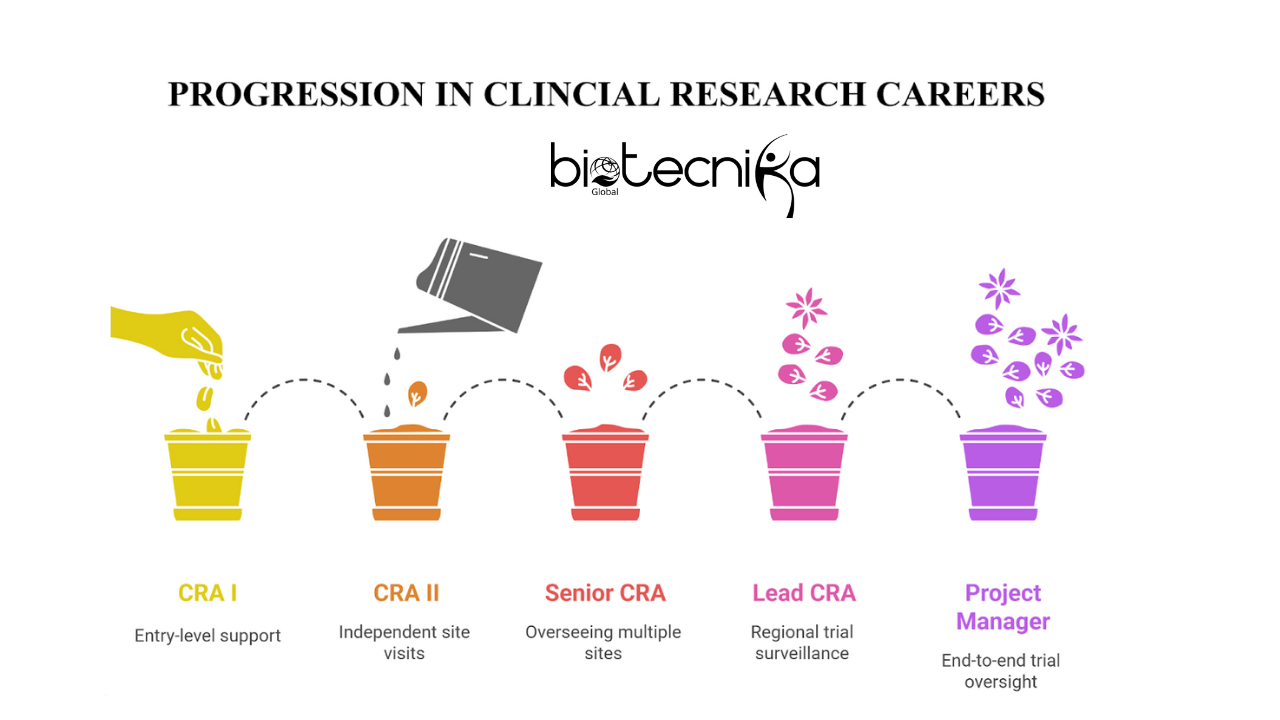 Clinical Research Careers From CRA to Project Manager
