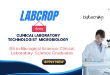 Clinical Research Jobs at Labcrop | Apply Now for Clinical Laboratory Technologist Microbiology Role Clinical Research Jobs at Labcrop | Apply Now for Clinical Laboratory Technologist Microbiology Role