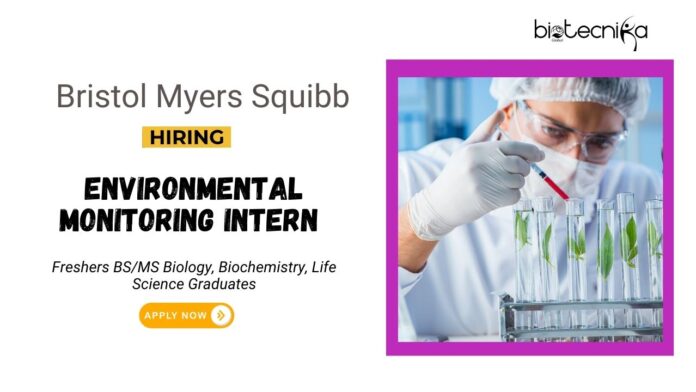Intern Jobs at Bristol Myers Squibb | Life Science Graduates Apply Now 