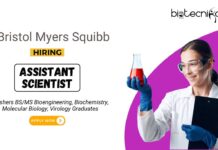 Freshers Jobs at Bristol Myers Squibb | BS/MS Graduates Apply Now for the Assistant Scientist Position Freshers Jobs at Bristol Myers Squibb BSMS Graduates Apply Now for the Assistant Scientist Position (1)