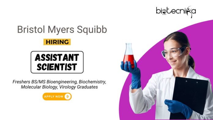 Freshers Jobs at Bristol Myers Squibb BSMS Graduates Apply Now for the Assistant Scientist Position (1)
