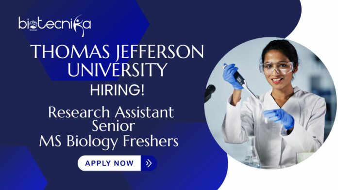 Freshers MS Biology Jobs at Thomas Jefferson University | Apply Now For The Research Assistant Senior Role