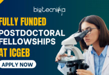 Fully Funded Postdoctoral Fellowships at ICGEB – Arturo Falaschi Postdoctoral Fellowships in Life Sciences – Apply Now Fully Funded Postdoctoral Fellowships at ICGEB - Arturo Falaschi Postdoctoral Fellowships in Life Sciences - Apply Now