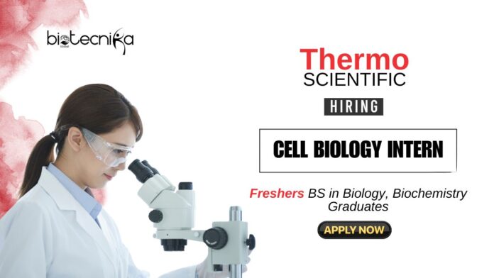 Internship Opportunity at Thermo Fisher BSMS Biology Graduates Apply Now